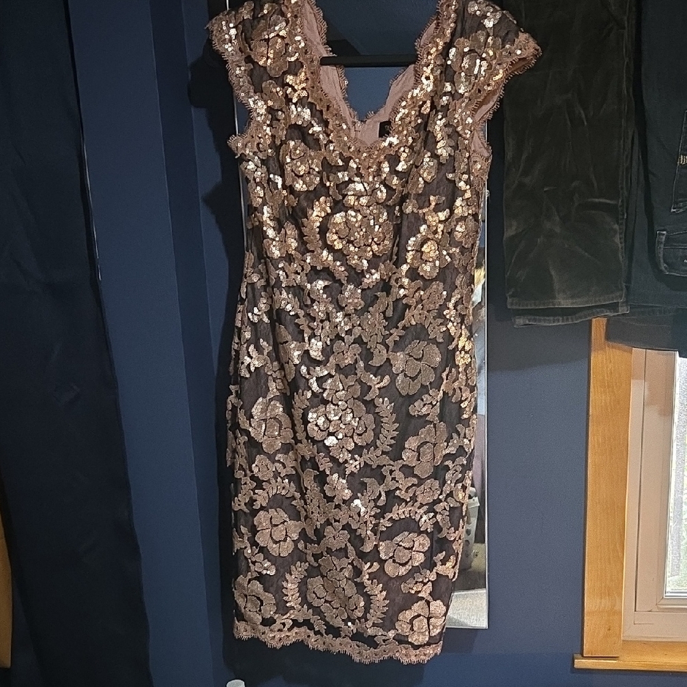 Tadashi Shoji Sequin Lace Mini Dress - Pink and Gold